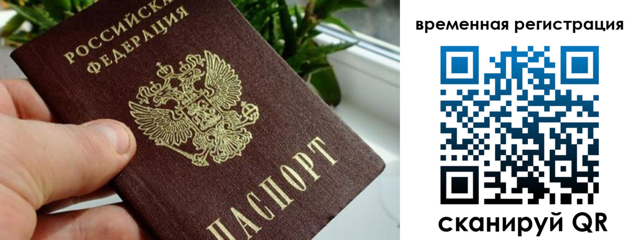 прописка поиск в Ангарске